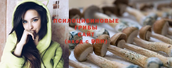 хмурый Абинск