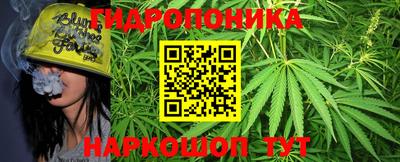 индика Сибай
