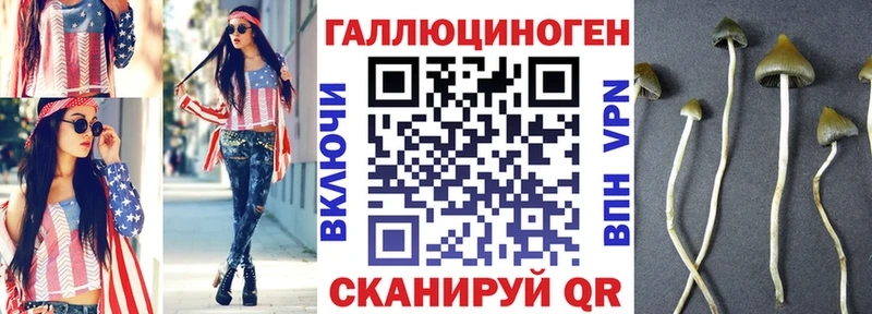 сколько стоит  Бийск  KRAKEN рабочий сайт  Галлюциногенные грибы GOLDEN TEACHER 