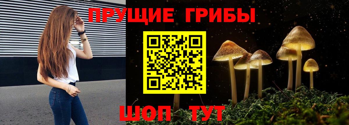 Псилоцибиновые грибы мухоморы  Псилоцибиновые грибы мицелий  Вход с VPN  Бийск 