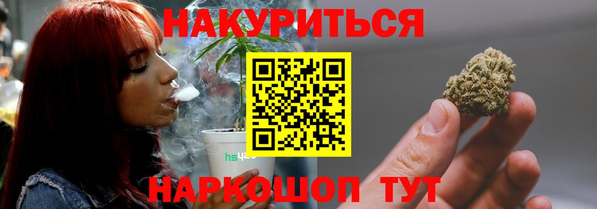 Бошки Шишки планчик Бийск